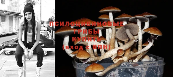 экстази Краснослободск