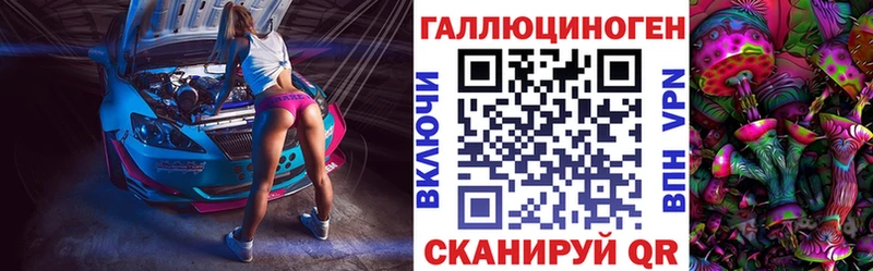 купить  сайты  Калининец  Псилоцибиновые грибы Psilocybe 